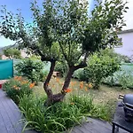 Maison Petite Florence Provencale By Bookingfute