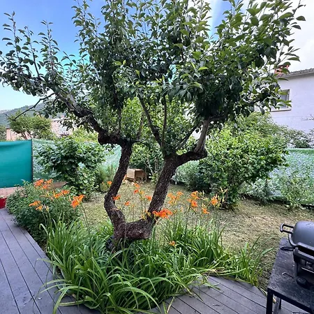 Maison Petite Florence Provencale By Bookingfute